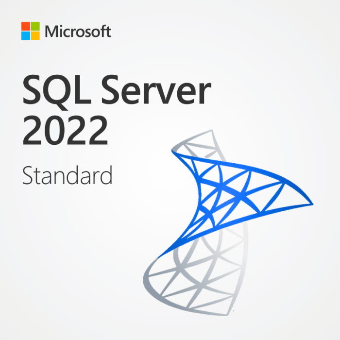 [SQL Sever] 2022 & 2019 Standard & Enterprise Retail Key Lifetime License Online Email Delivery